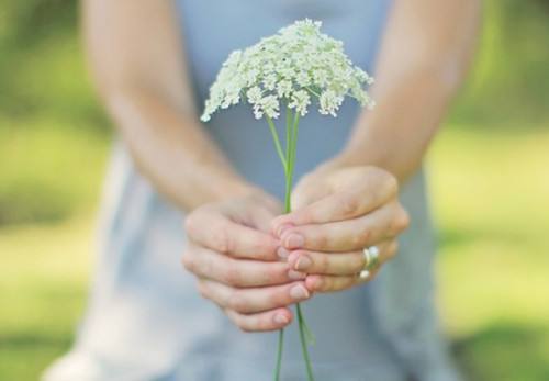 麥克威企業文化